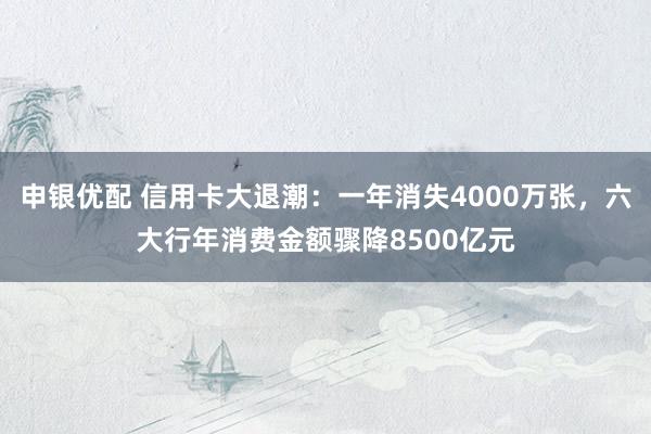 申银优配 信用卡大退潮：一年消失4000万张，六大行年消费金额骤降8500亿元