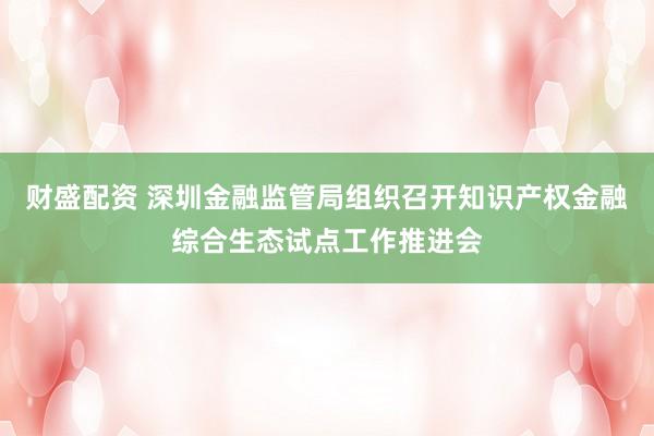 财盛配资 深圳金融监管局组织召开知识产权金融综合生态试点工作推进会